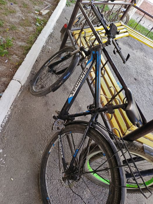 Velosiped skilmax 29