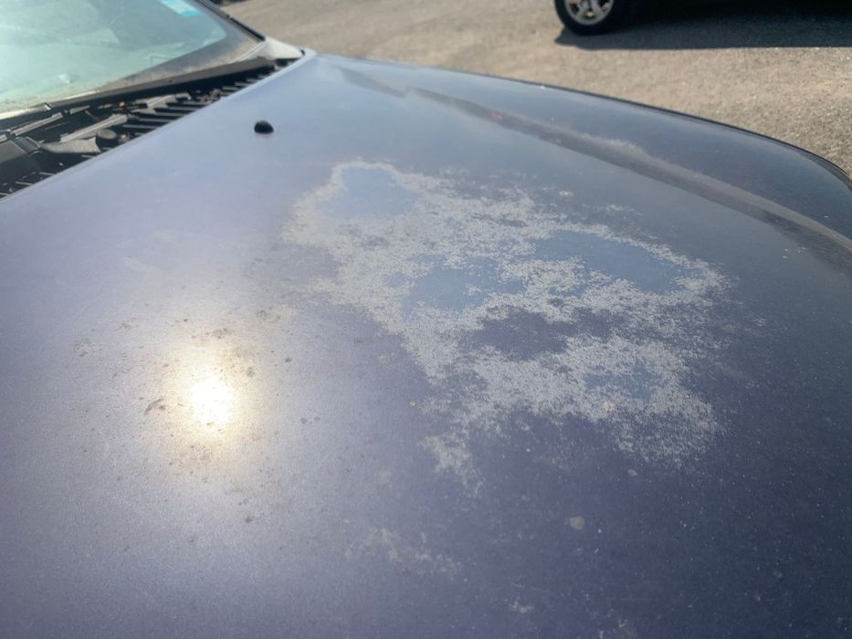 Дайхатсу ТЕРИОС/Daihatsu Terios