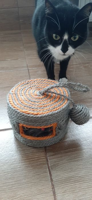 Jucărie pentru pisici