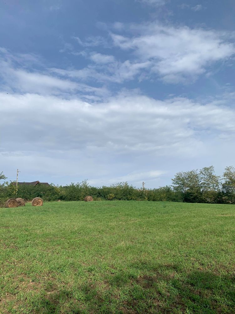 De vanzare teren intravilan 5160 mp - Bogdanesti