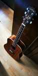 Chitara acustica Arrow silver mahogany