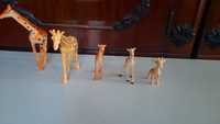 Familia de girafe