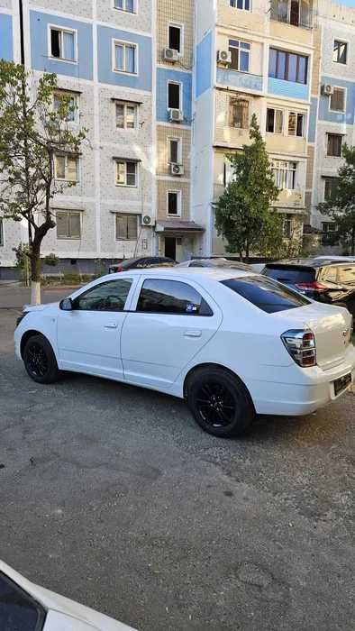Coballt naxt va nasiya savdoga beriladi