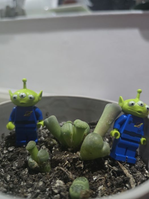Figurine Lego vechi  Alien colecție Toy Story