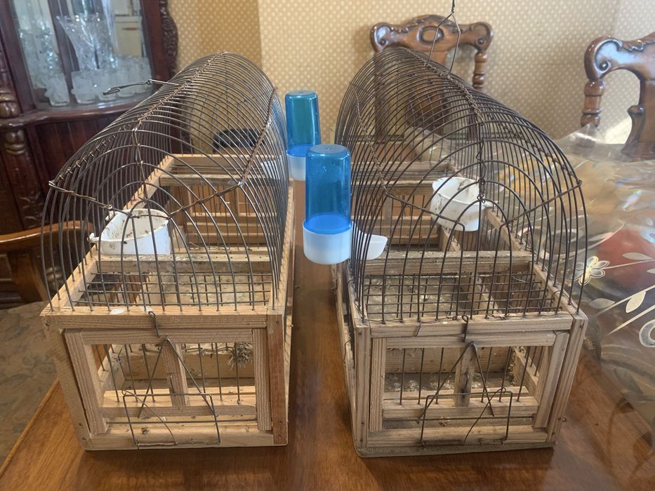 Клетки ловушки для птиц