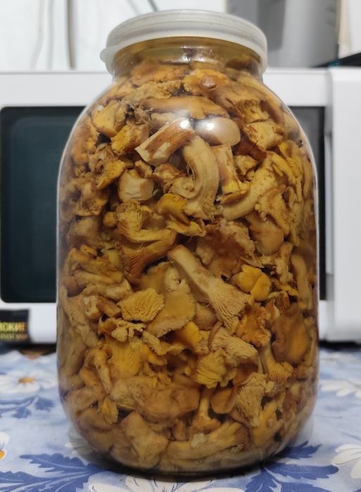 Продам грибы соленые
