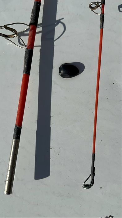 Germina lanseta germina varga cardinal undita