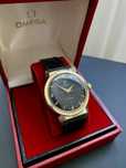 Ceas Omega Seamaster Automatic.Crosshair-Honeycomb cadran, aur&otel.