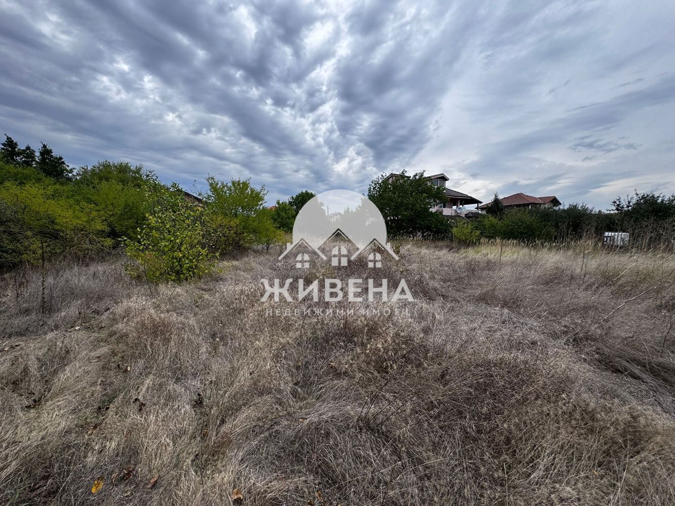 Парцел в с.Царичино, обл. Добрич, площ 1265 кв.м