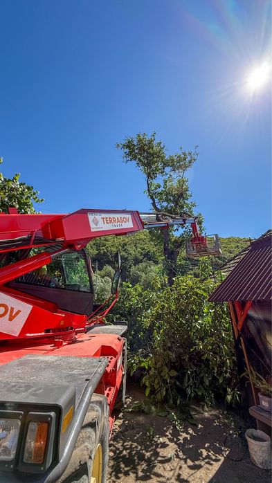 Taiere profesionala a arborilor/ copaci Targu Mures Platforma de lucru