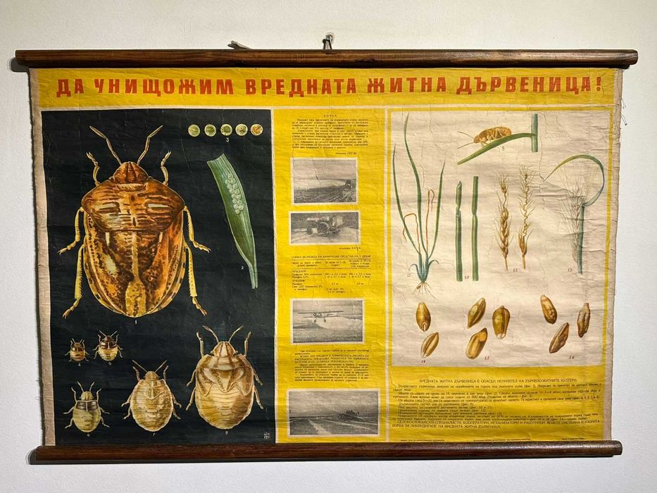 Соц Учебни Плакати Постери Ботаника