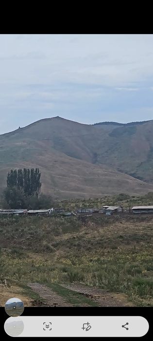 Продам 50 га крестьянской хозяйства