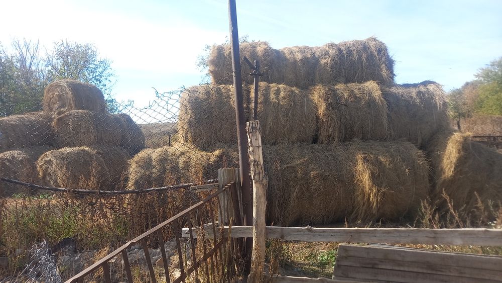 Продам сено летний кос