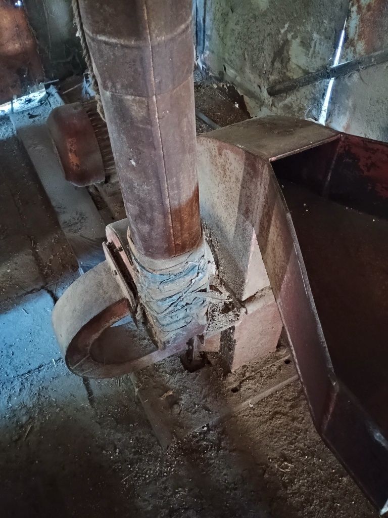 Форажумелка здрава
