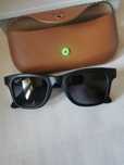Ray ban Meta Wayfarer