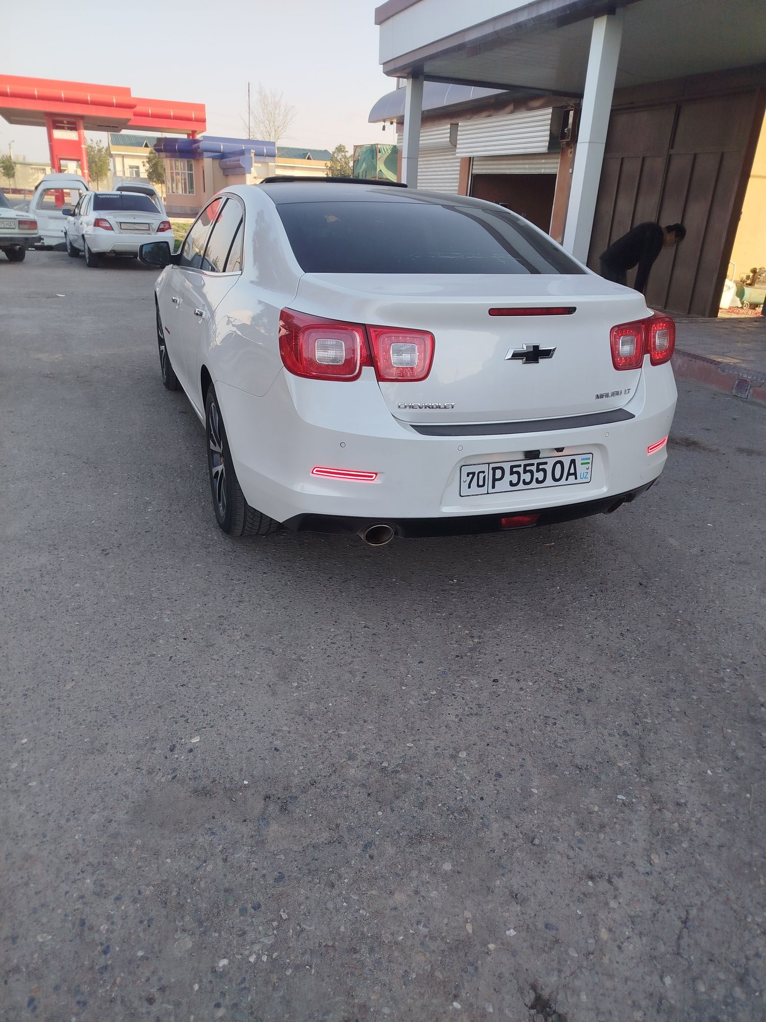 Malibu 1 --2patdisiya