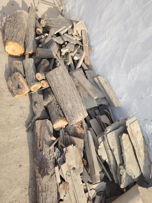 O'tin, taxta, daraxt sotiladi