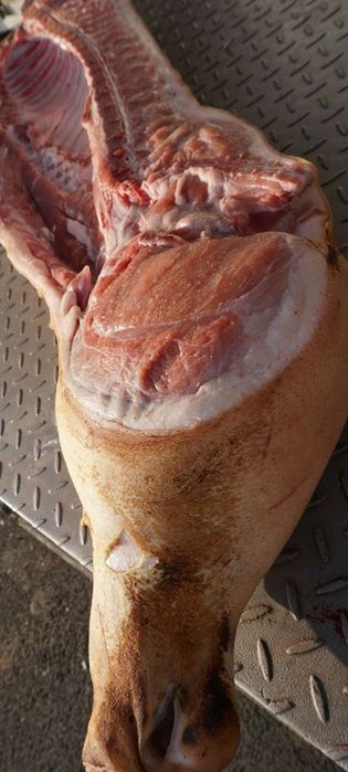 Мясо свинина  цена