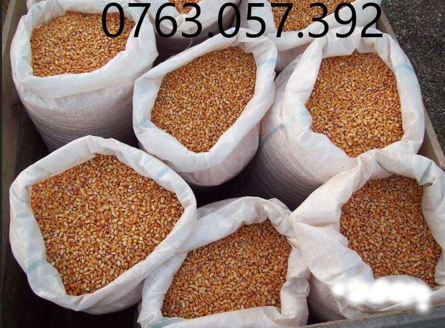 Batoză Bourgoin Bamby sfărâmătoare desfăcătoare porumb