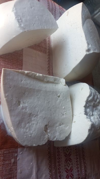 Brânză de capră și oaie la angro