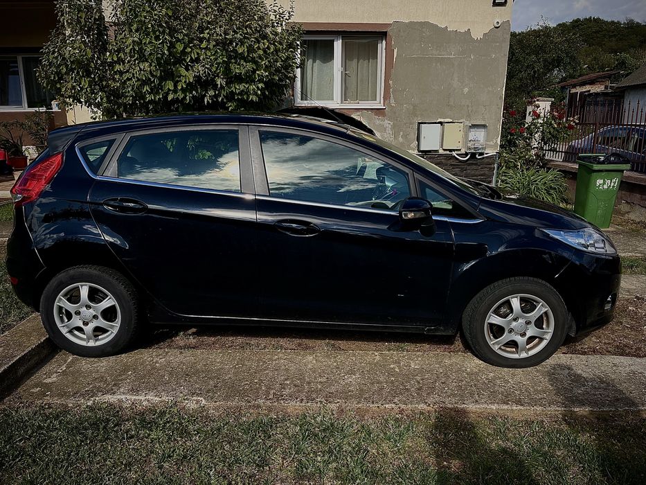 Vand Ford Fiesta 2010