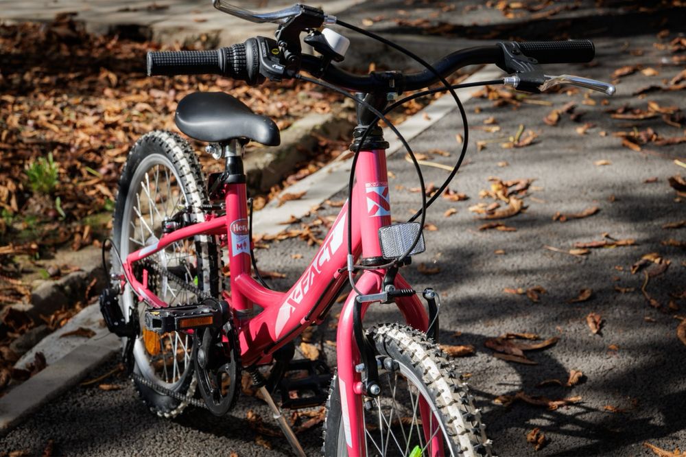 Bicicleta roz MTB Princess 20"