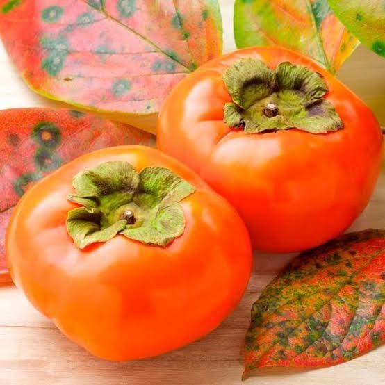 Райска ябълка (Сорт-Фую)-Без танин