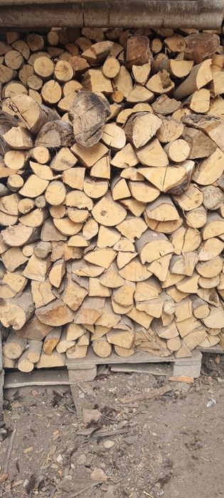 Vand lemne de foc 8mc