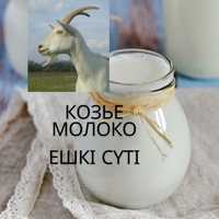 Козье молоко ЕШКІ СҮТІ