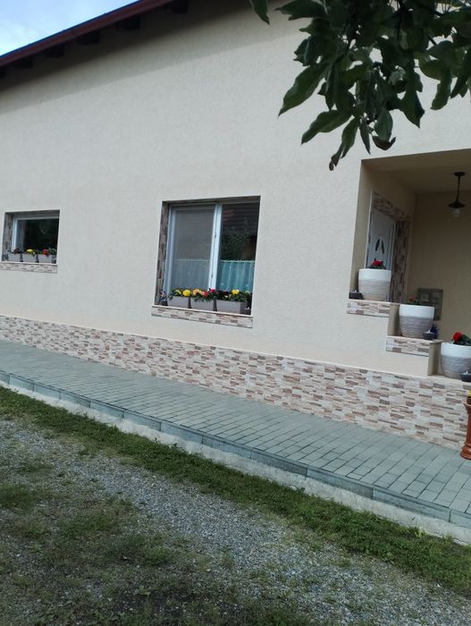 Vând casă plus spatiu pentru afacere
