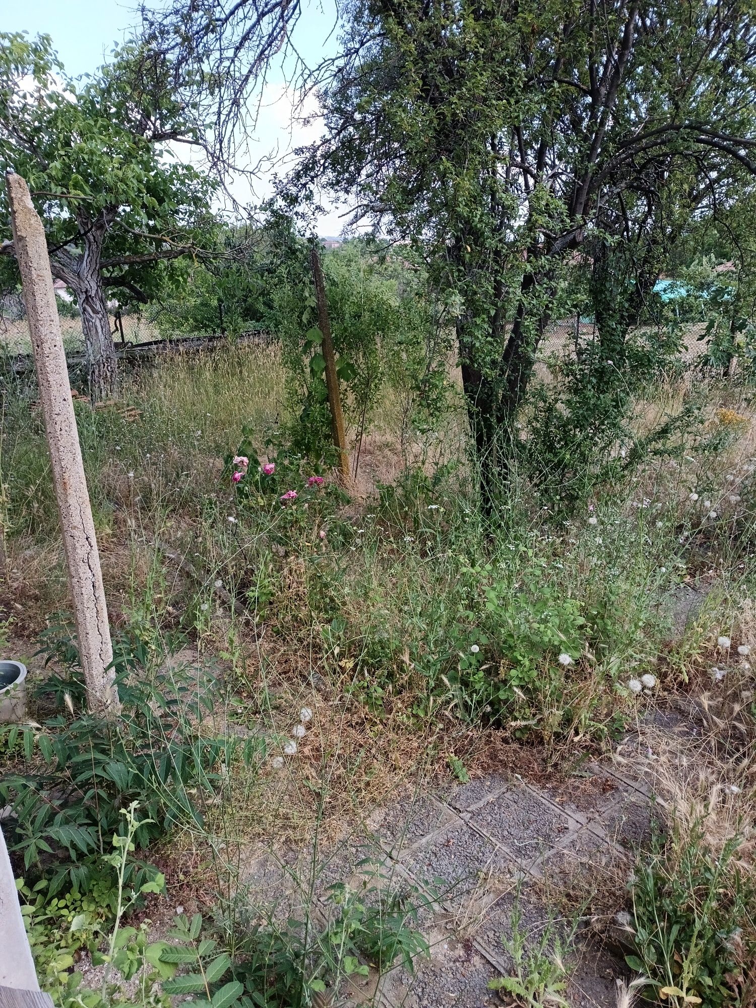 Едноетажна  къща в село до Свиленград