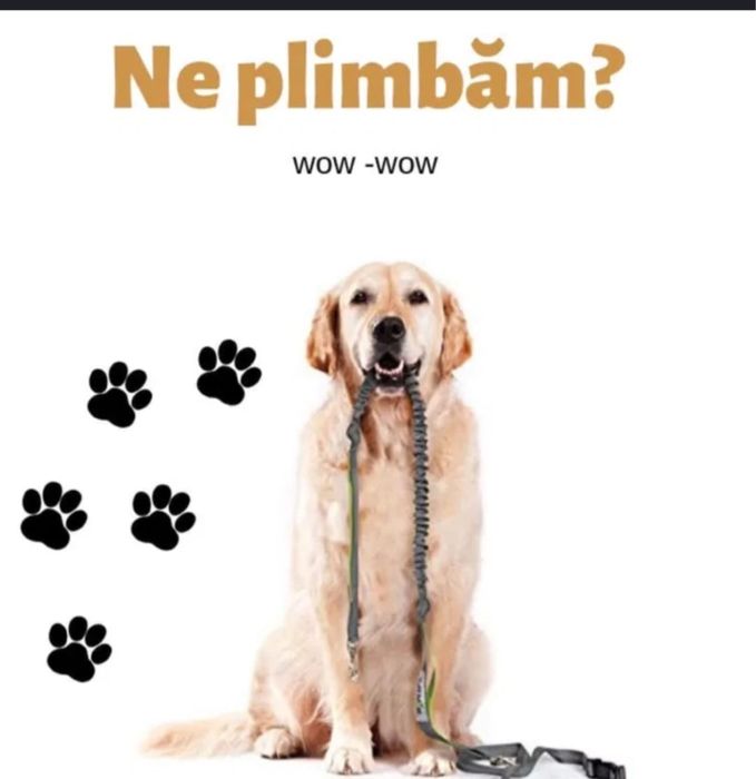 Va plimbam cainele la orice ora cu deag!