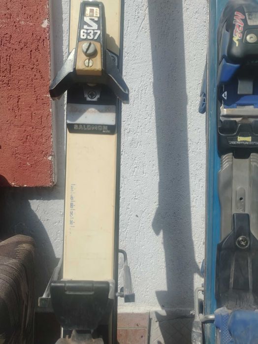 Schiuri iarna folosite