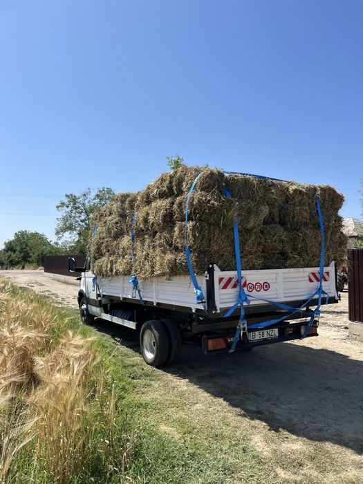 TRANSPORT -  marfa, mobila, moloz, diverse