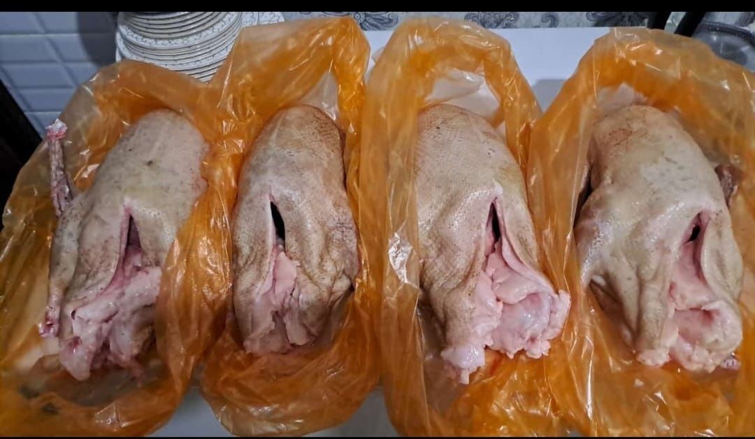 Продаётся жирные гуси.