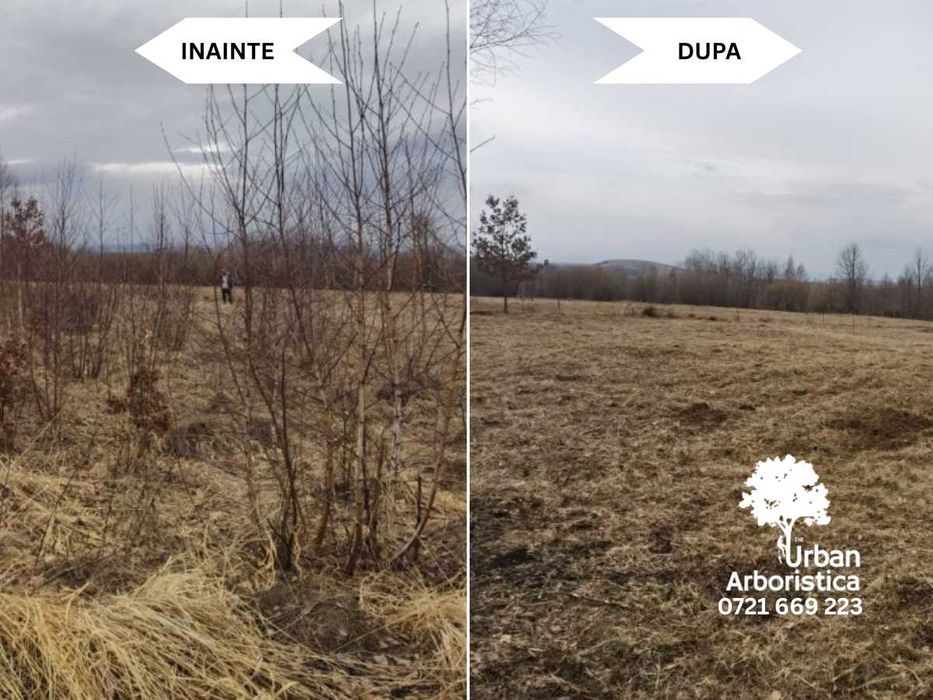 Defrișare Cosire Curățare Teren, Curte, Livadă, Gradină -Arborist Cluj
