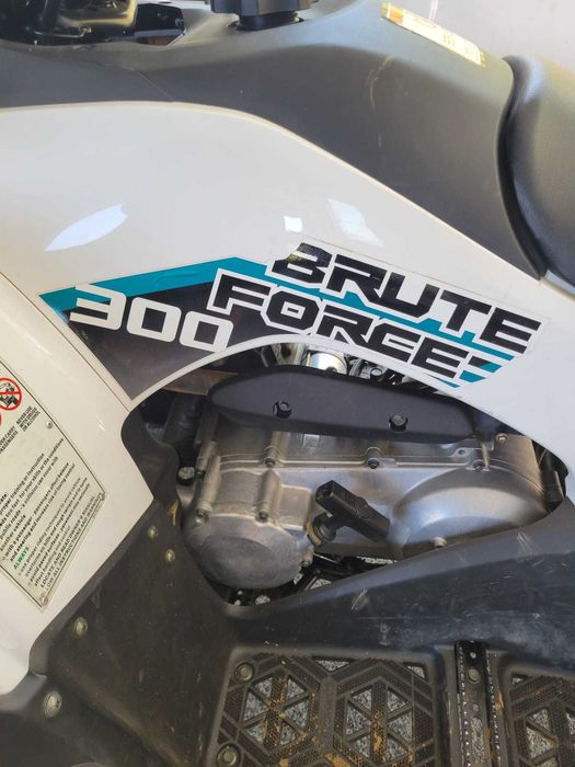 2022 kawasaki brute force 300 Atv