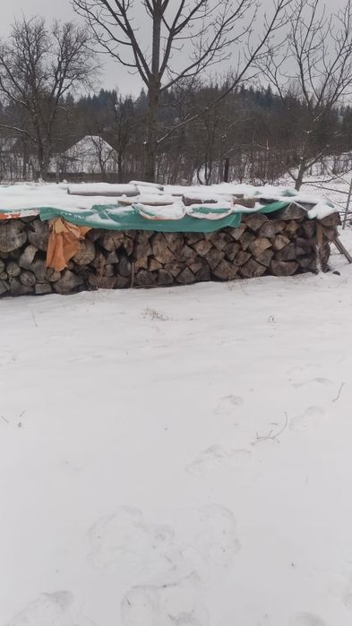 Lemn de foc fag uscat