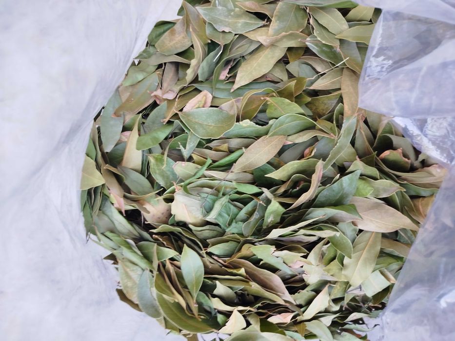 Дафинов лист сушен