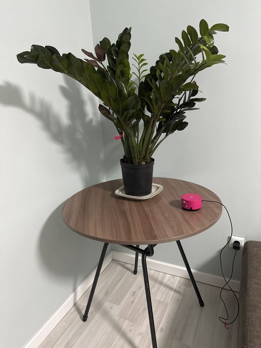 Стол от компании ZETA