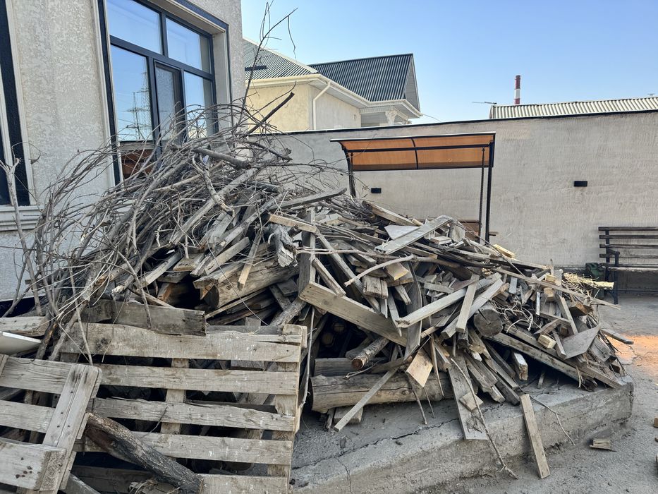 Отын ағаш бар тегін