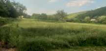Teren Sanisor Mures