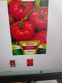 Разсад домат, от показаните сортове