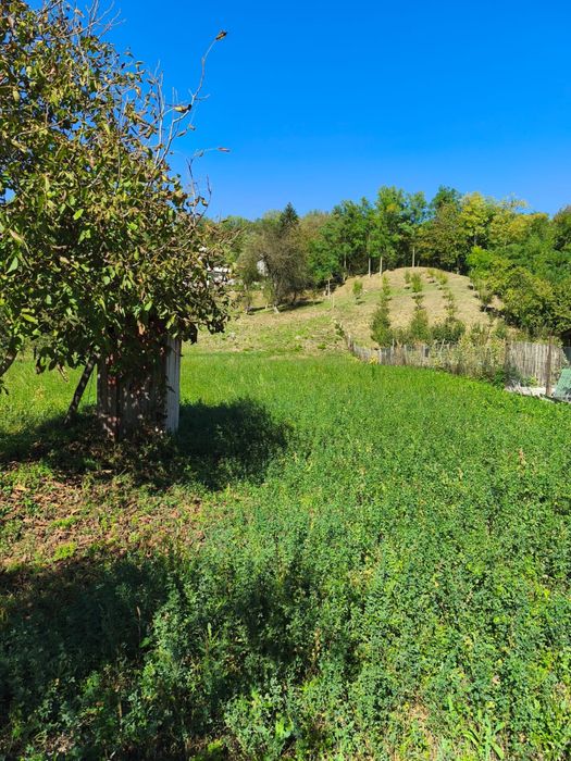 Vând teren intravilan în Valea Lungă Gorgota - Dâmbovița
