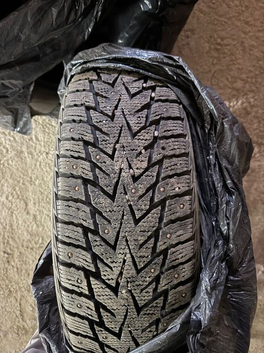 Зимний баллон Nexen