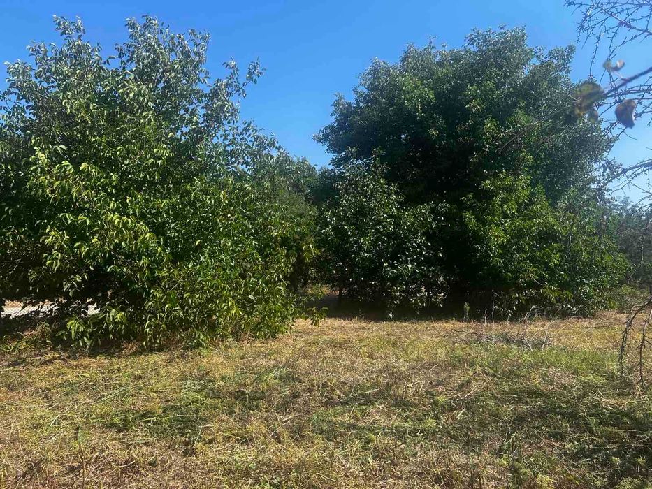 Продава се двуетажна, тухлена къща в село Белица, обл. Силистра.