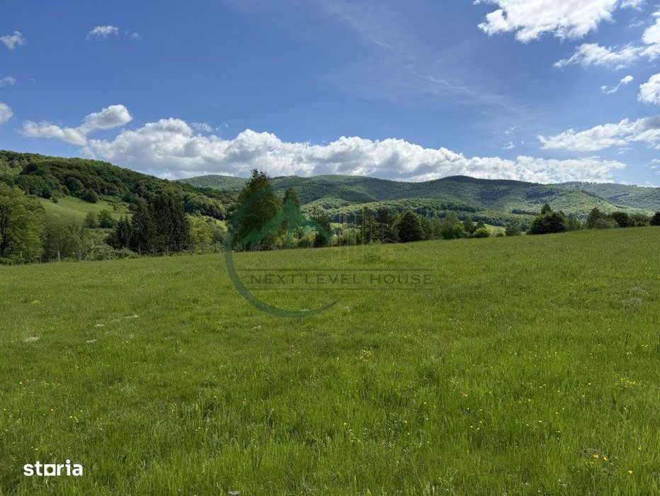 Teren exceptional Valea Dobarlaului - oportunitate investitie