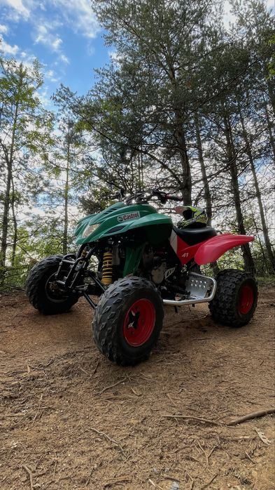 Атв DINLI 450 кубика Castrol Edition