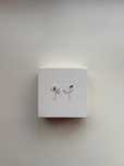 Apple AirPods Pro ANC