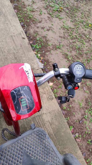 Триколка Telstar